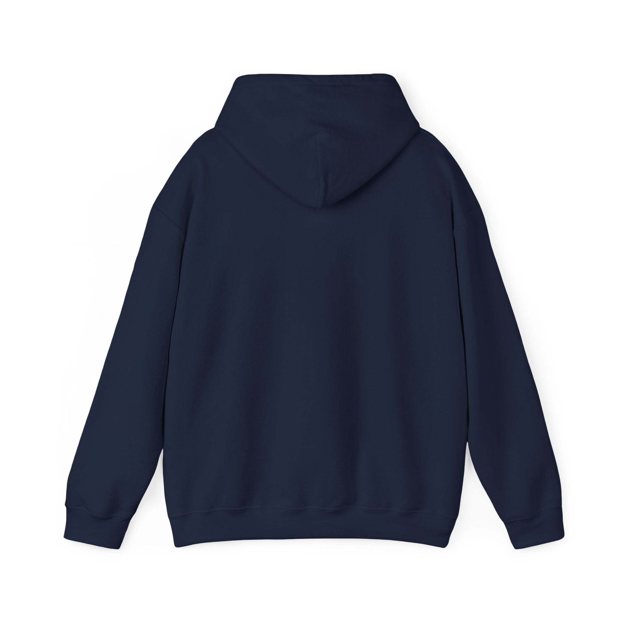 Navy hooded sweatshirt back view